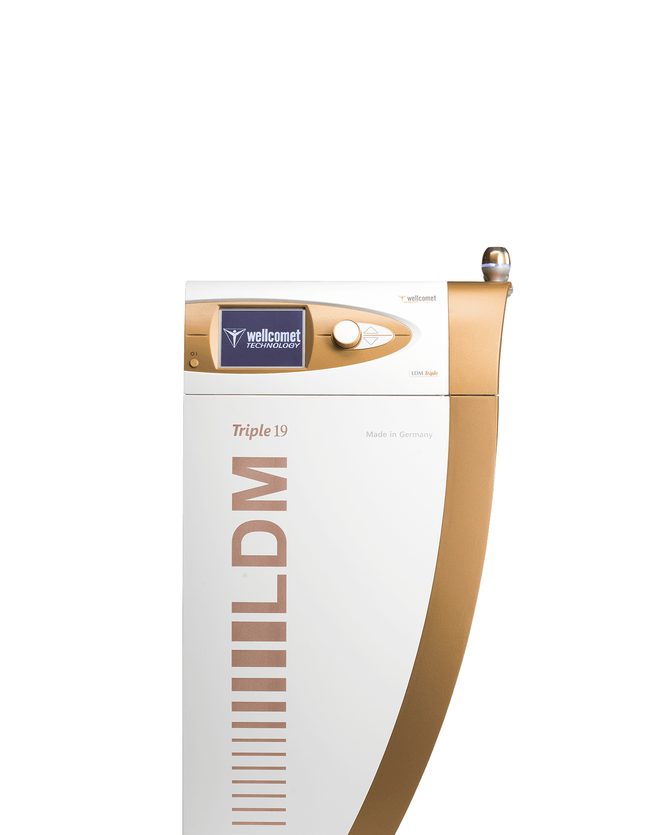 LDM