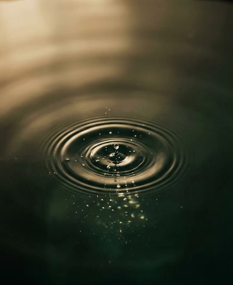 Prime Cell — a droplet meeting a still surface, sending quiet ripples